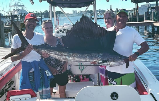 Sailfish fishing in Panama City Beach, Florida