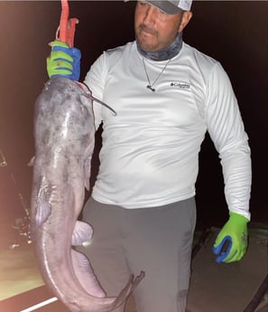 Blue Catfish fishing in Dallas, Texas