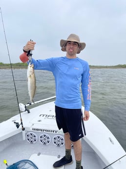 Speckled Trout / Spotted Seatrout fishing in Corpus Christi, Texas