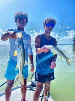 Tarpon fishing in Tavernier, Florida