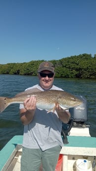 Redfish Fishing in Holmes Beach, Florida