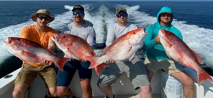 Red Snapper fishing in Biloxi, Massachusetts