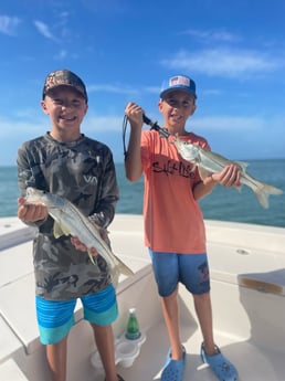 Snook fishing in Sarasota, Florida