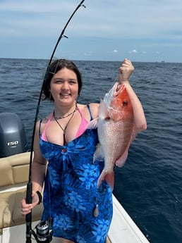 Red Snapper Fishing in Niceville, Florida