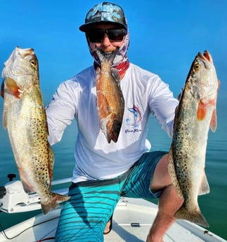 Speckled Trout / Spotted Seatrout fishing in Tavernier, Florida