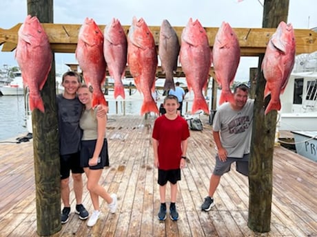 Mangrove Snapper, Red Snapper fishing in Orange Beach, Alabama