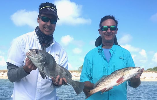 Black Drum, Redfish fishing in Port Aransas, Texas