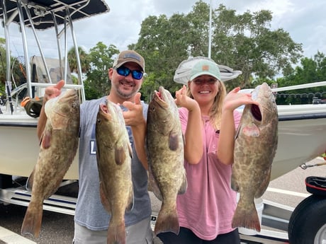 Gag Grouper fishing in St. Petersburg, Florida