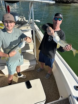 Fishing in Sarasota, Florida