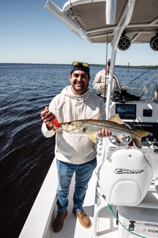 Snook Fishing in Fort Myers, Florida