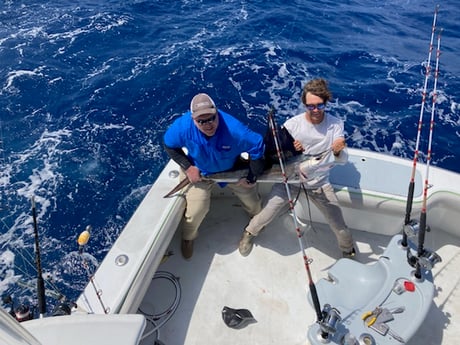 Sailfish fishing in Fort Lauderdale, Florida