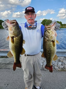 Largemouth Bass Fishing in Fort Lauderdale, Florida