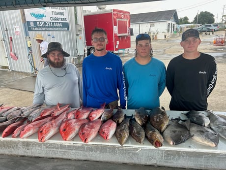 Black Grouper, Red Snapper, Scup, Triggerfish Fishing in Pensacola, Florida