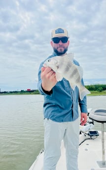 Black Drum Fishing in Galveston, Texas