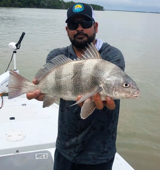 Black Drum fishing in Tavernier, Florida