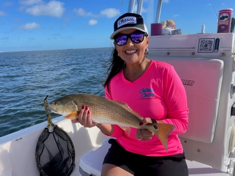 Redfish Fishing in Corpus Christi, Texas