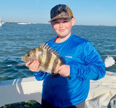 Sheepshead fishing in Galveston, Texas