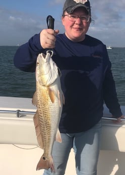 Redfish fishing in Galveston, Texas