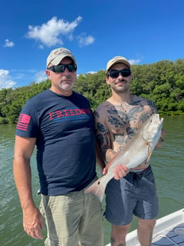 Redfish fishing in Clearwater, Florida