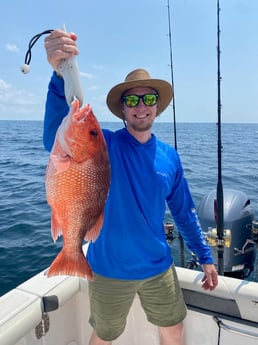 Red Snapper Fishing in Pensacola, Florida