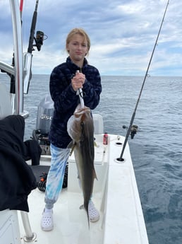 Sheepshead fishing in Pensacola, Florida