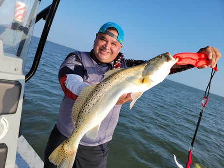 Speckled Trout / Spotted Seatrout Fishing in Rio Hondo, Texas