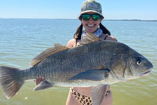 Black Drum fishing in New Smyrna Beach, Florida