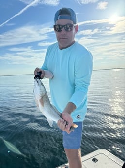 Fishing in Sarasota, Florida