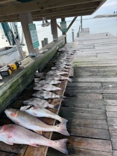 Fishing in Galveston, Texas