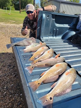 Black Drum, Redfish Fishing in Rockport, Texas