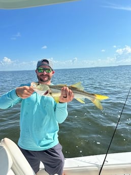 Snook Fishing in Key Largo, Florida