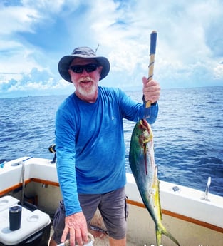 Mahi Mahi / Dorado fishing in Destin, Florida