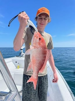 Red Snapper Fishing in Pensacola, Florida