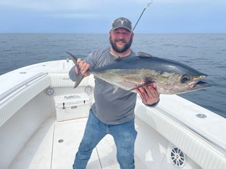 King Mackerel / Kingfish fishing in Venice, Louisiana