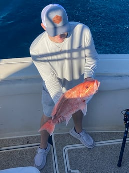 Red Snapper Fishing in Freeport, Texas