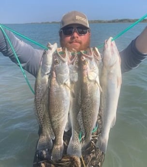 Speckled Trout / Spotted Seatrout Fishing in Rockport, Texas