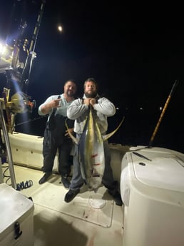 Yellowfin Tuna Fishing in Destin, Florida