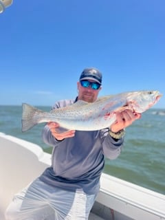 Speckled Trout Fishing in Galveston, Texas