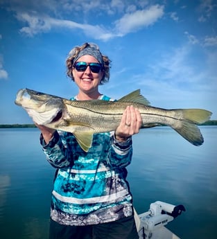 Snook fishing in St. Petersburg, Florida