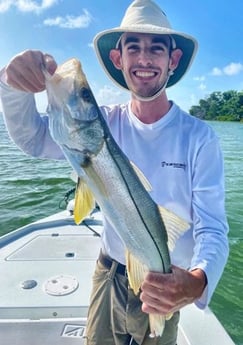 Snook fishing in Tavernier, Florida