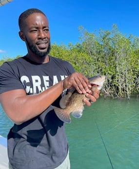 Gag Grouper fishing in Port Orange, Florida