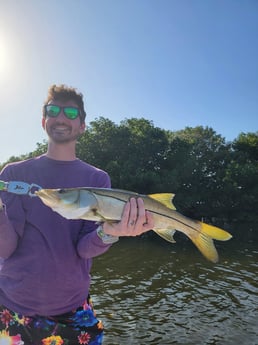 Snook Fishing in St. Petersburg, Florida