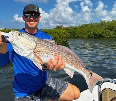 Redfish Fishing in Sarasota, Florida