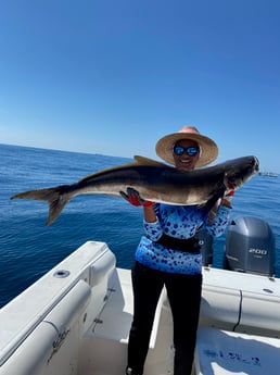 Cobia fishing in Surfside Beach, Texas