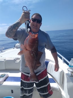 Red Snapper fishing in Clearwater, Florida