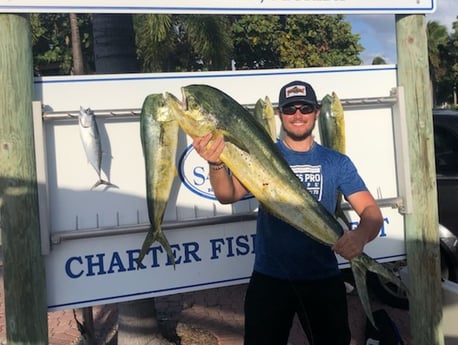 Mahi Mahi / Dorado fishing in West Palm Beach, Florida