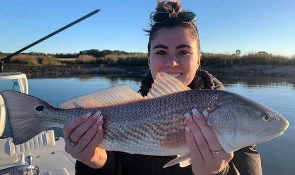 Redfish fishing in Hilton Head Island, South Carolina