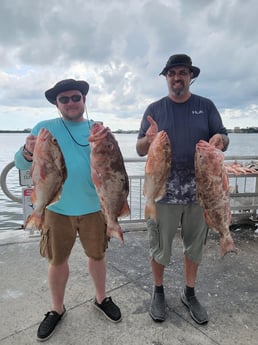 Red Grouper fishing in Clearwater, Florida