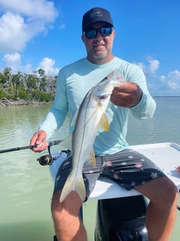 Tarpon fishing in Tavernier, Florida