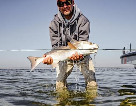 Redfish fishing in Tallahassee, Florida